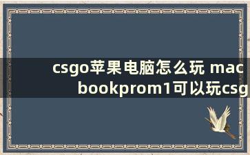 csgo苹果电脑怎么玩 macbookprom1可以玩csgo吗